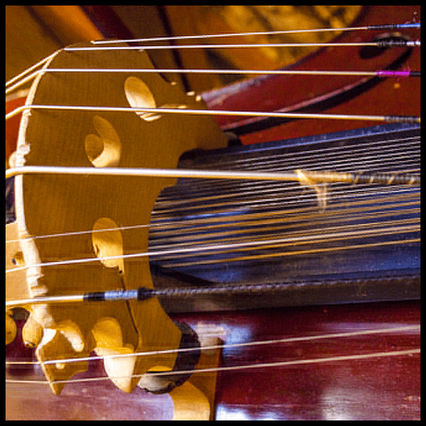 Bazantar | Instruments | Hindustani Raga Index | Rāga Junglism