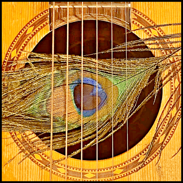 Megh Rag Instrument Megh | SRmPnS | Hindustani Raga Index | 365+ Ragas